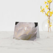 Carte Rose blanc de rougissement (Fleur jaune)