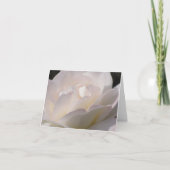 Carte Rose blanc de rougissement (Devant)