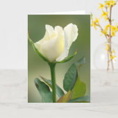 Carte Rose blanche (Fleur jaune)