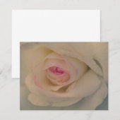 Carte Rose Blanche (Devant / Derrière)