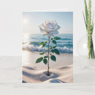 Carte Rose Blanche Sympathique Dans Le Sable De Plage