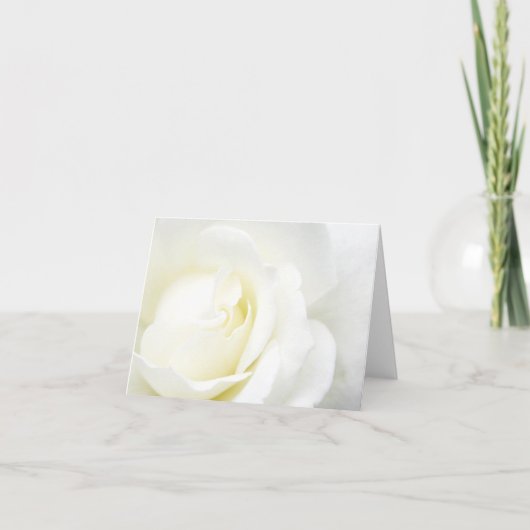 Carte Rose blanche toute occasion (Devant)