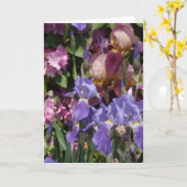 Carte Rose bleu pourpre de jardin d'iris (Fleur jaune)
