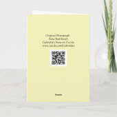 Carte rose Bud Bund Art Note (Dos)