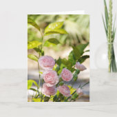 Carte Rose Bush et le feuillage vert (Devant)