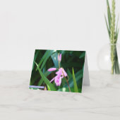 Carte Rose contre vert (Devant)