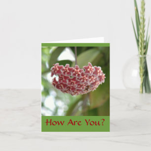 CARTE ROSE CORALE&FLEURS DE COULEUR BLANCHE AVEC ESCALIE