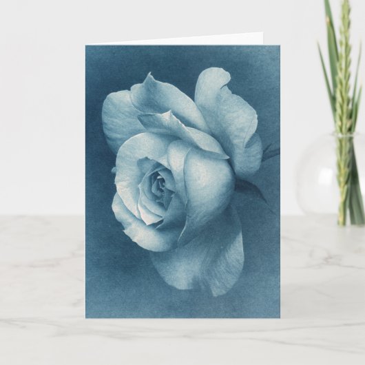 Carte Rose Cyanotype (Devant)