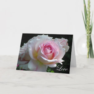 Carte Rose d'amour
