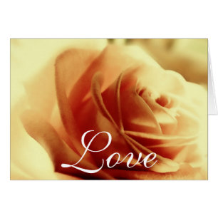 Carte Rose d'amour