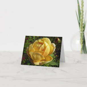 Carte Rose d'Angleterre