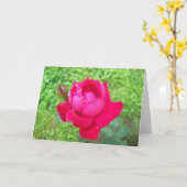 Carte Rose dans Bloom (Fleur jaune)