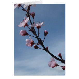 Carte rose d'arbre fleurissant de fleurs de