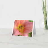 Carte Rose Daylily (Devant)