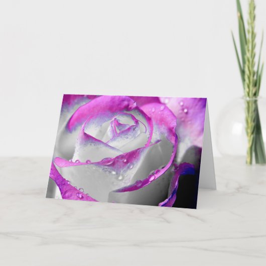 Carte Rose de beauté rose (Devant)