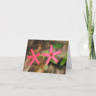 Carte Rose de feu - Customized2