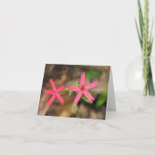 Carte Rose de feu - Customized2 (Devant)