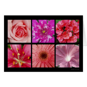 Carte rose de fleur