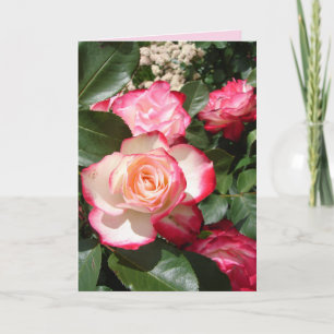 Carte Rose de fleurs Roses rouge et blanc
