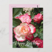 Carte Rose de fleurs Roses rouge et blanc (Devant / Derrière)