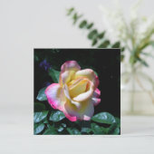 Carte Rose de jardin de la Saint-Jean (Debout devant)