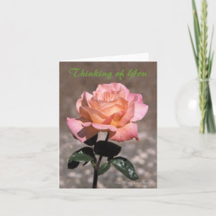 Carte Rose de la paix de Chicago