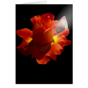 Carte rose de Lydia