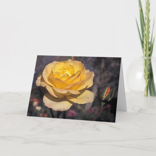 Carte Rose de médaille d'or (Devant)