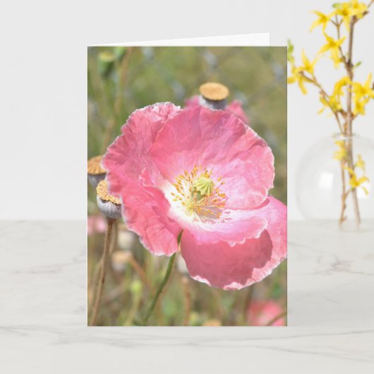 Carte rose de pavot et de barrière (Fleur jaune)