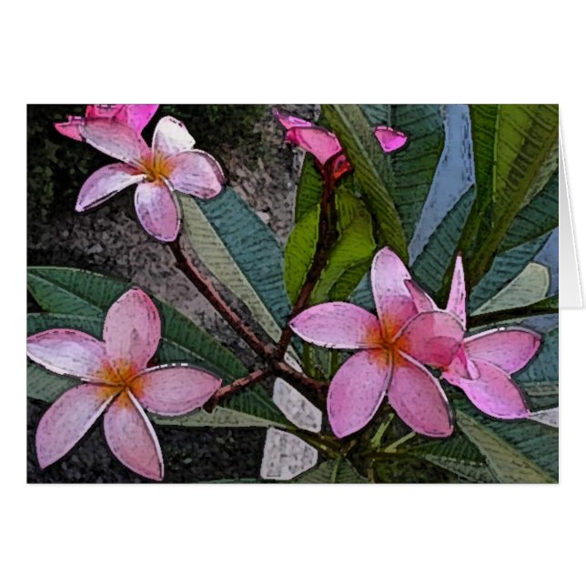 Carte rose de Plumeria (Devant horizontal)
