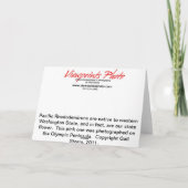 Carte rose de Rhody (Dos)