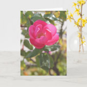 Carte Rose de rose - amitié spéciale (Fleur jaune)
