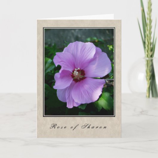 Carte Rose de Sharon - Floral Series (Devant)
