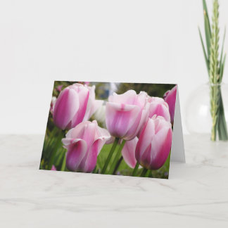 Carte rose de tulipes