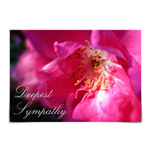 Carte Rose "Deepest Sympathy" Rose Rugosa