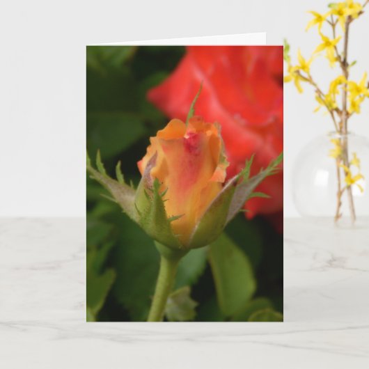 Carte rose du jour de mère (Fleur jaune)