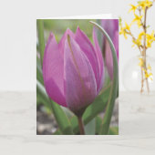 Carte rose du jour de mère de tulipe (Fleur jaune)