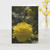 Carte Rose du soir jaune, penser à vous (Fleur jaune)