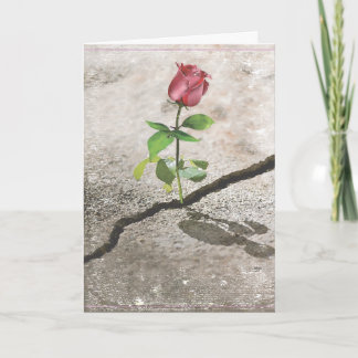 Carte Rose en béton