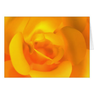 Carte Rose enchaînée