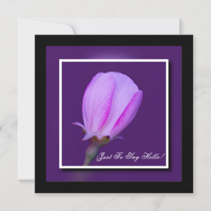 Carte Rose et violet printemps fleurie Bonjour