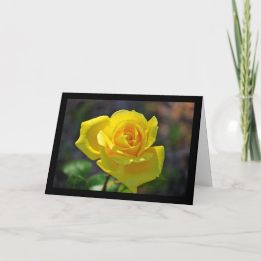 Carte Rose Fleur Jaune (Devant)