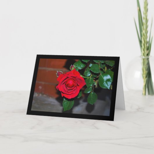 Carte Rose Fleur Rouge (Devant)