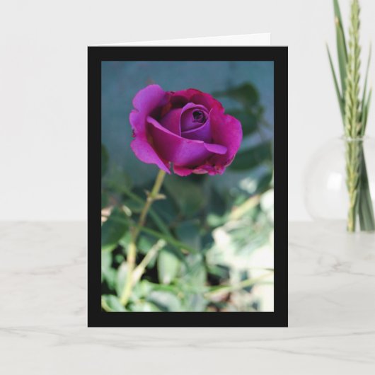 Carte Rose Fleurie Violette (Devant)