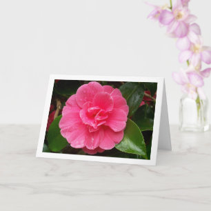 Carte Rose Florale Rose