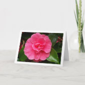 Carte Rose Florale Rose (Devant)