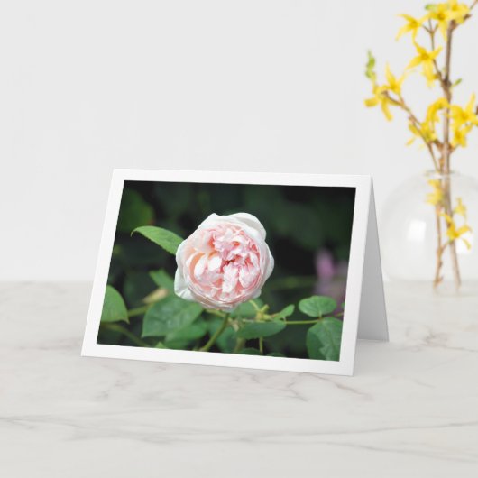 Carte Rose Florale Rose (Fleur jaune)