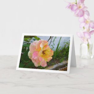 Carte Rose florale rose et jaune