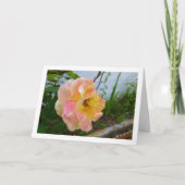 Carte Rose florale rose et jaune (Devant)