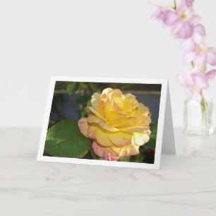 Carte Rose florale rose et jaune